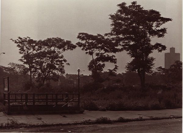 RoyD2-79